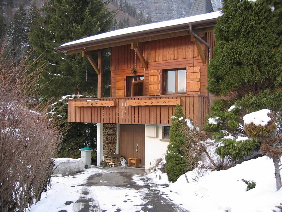 Chalet driveway