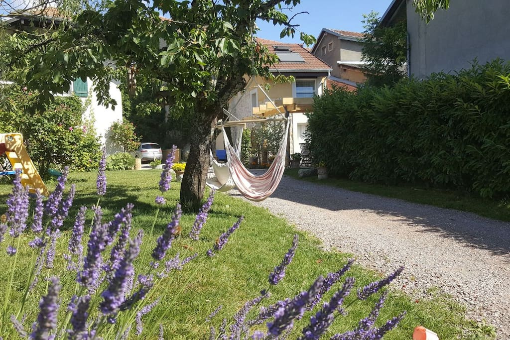 The garden