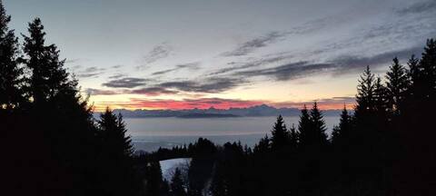 Studio cosy 1300m