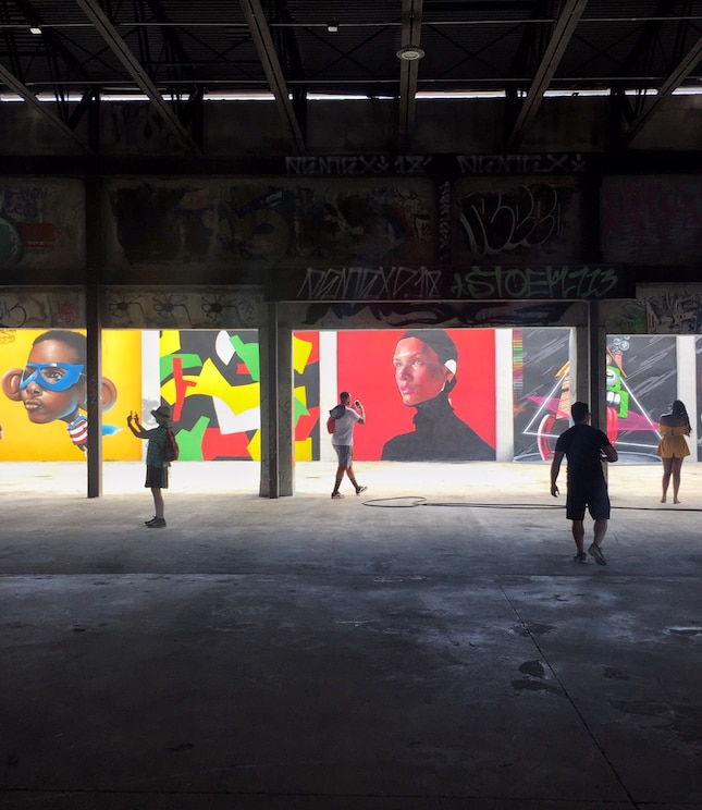 Show full-screen, host-provided image