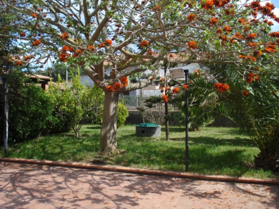 giardino privato