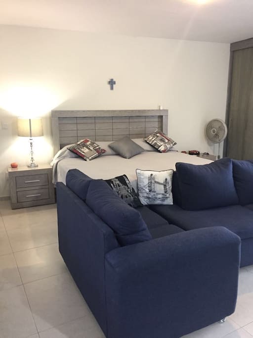 1 king size bed and sofa