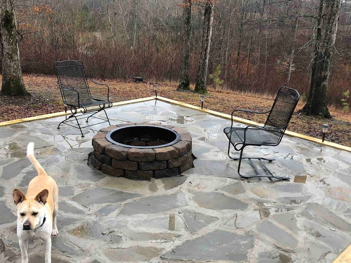 winter view of firepit with LeeLoo (our free range farm dog)