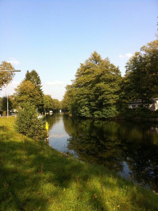 Blick auf den direkt angrenzenden Werbellinkanal