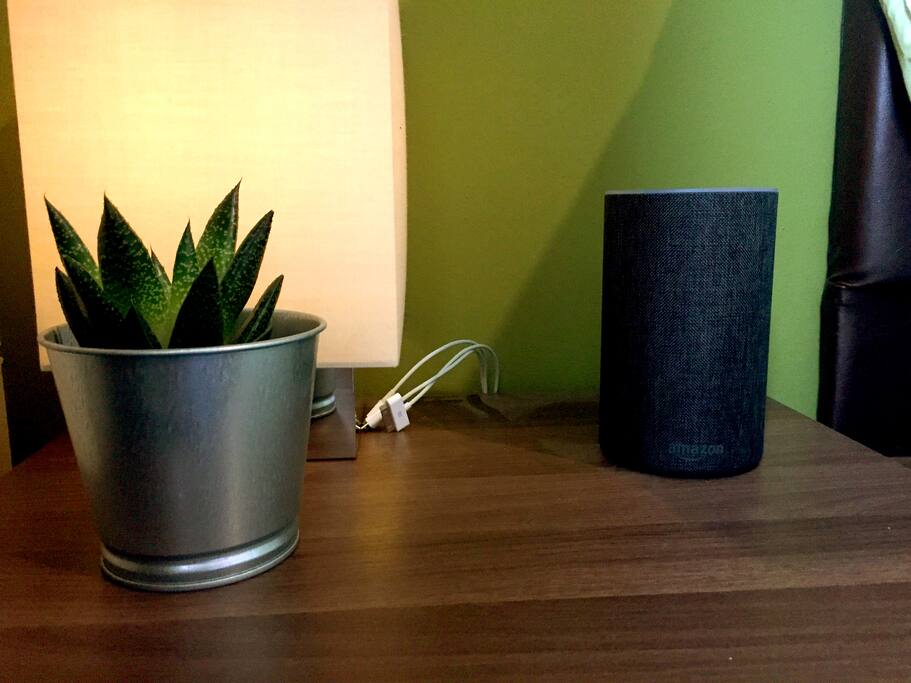 Amazon Alexa in the room controls lights and more
