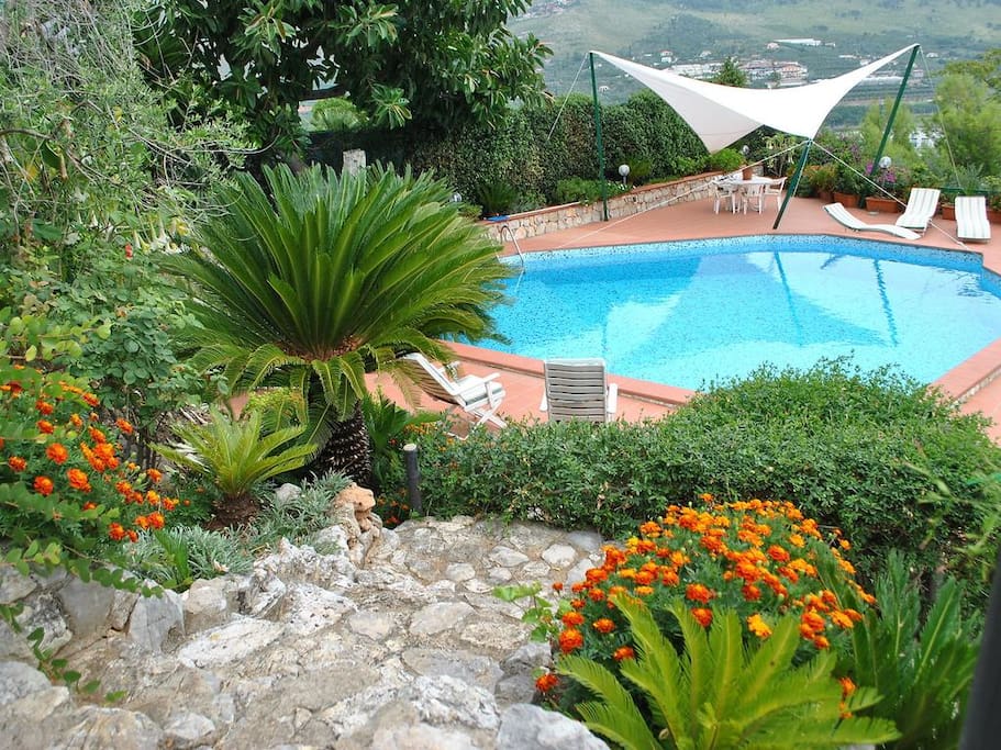 altra prospettiva della piscina e zona circostante