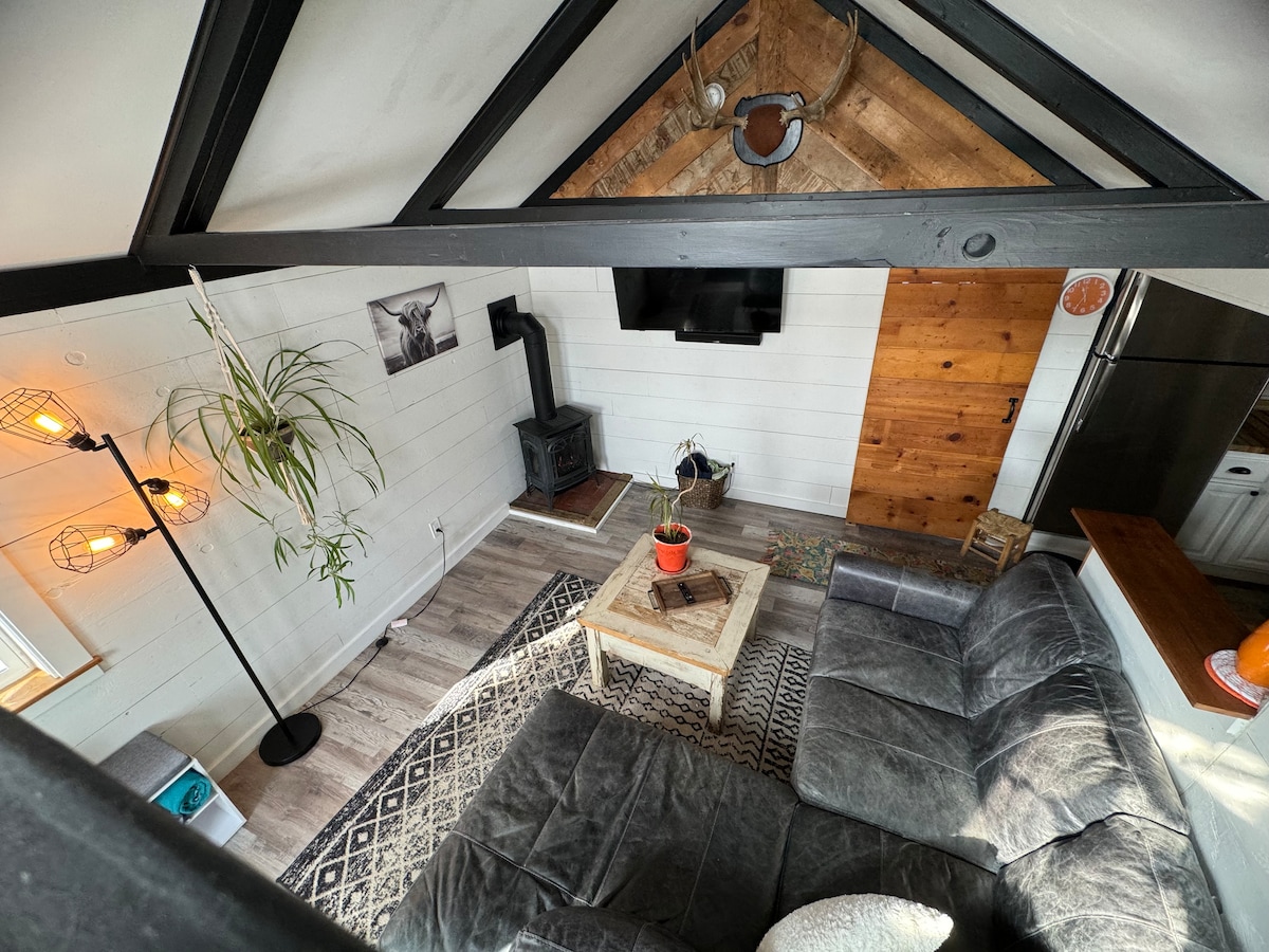 The cabin's living area features a comfortable leather sectional sofa on a patterned rug, complemented by a unique floor lamp. A rustic coffee table sits in the center, while a wood-burning stove adds warmth. The exposed beams and natural wood accents enhance the cozy atmosphere.