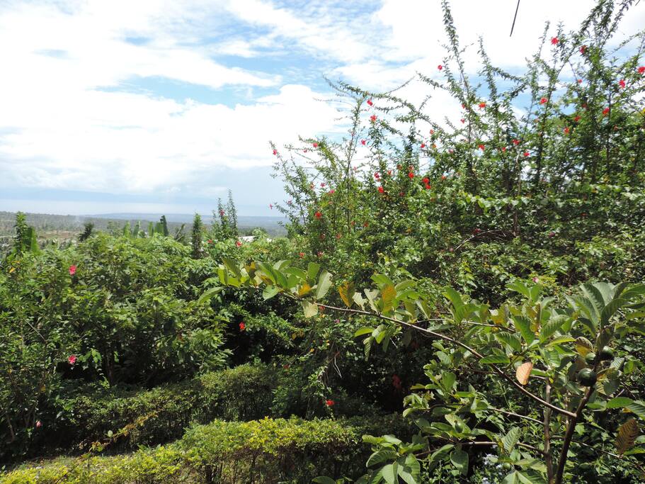 Stunning View Of Sapit Villages, Lombok