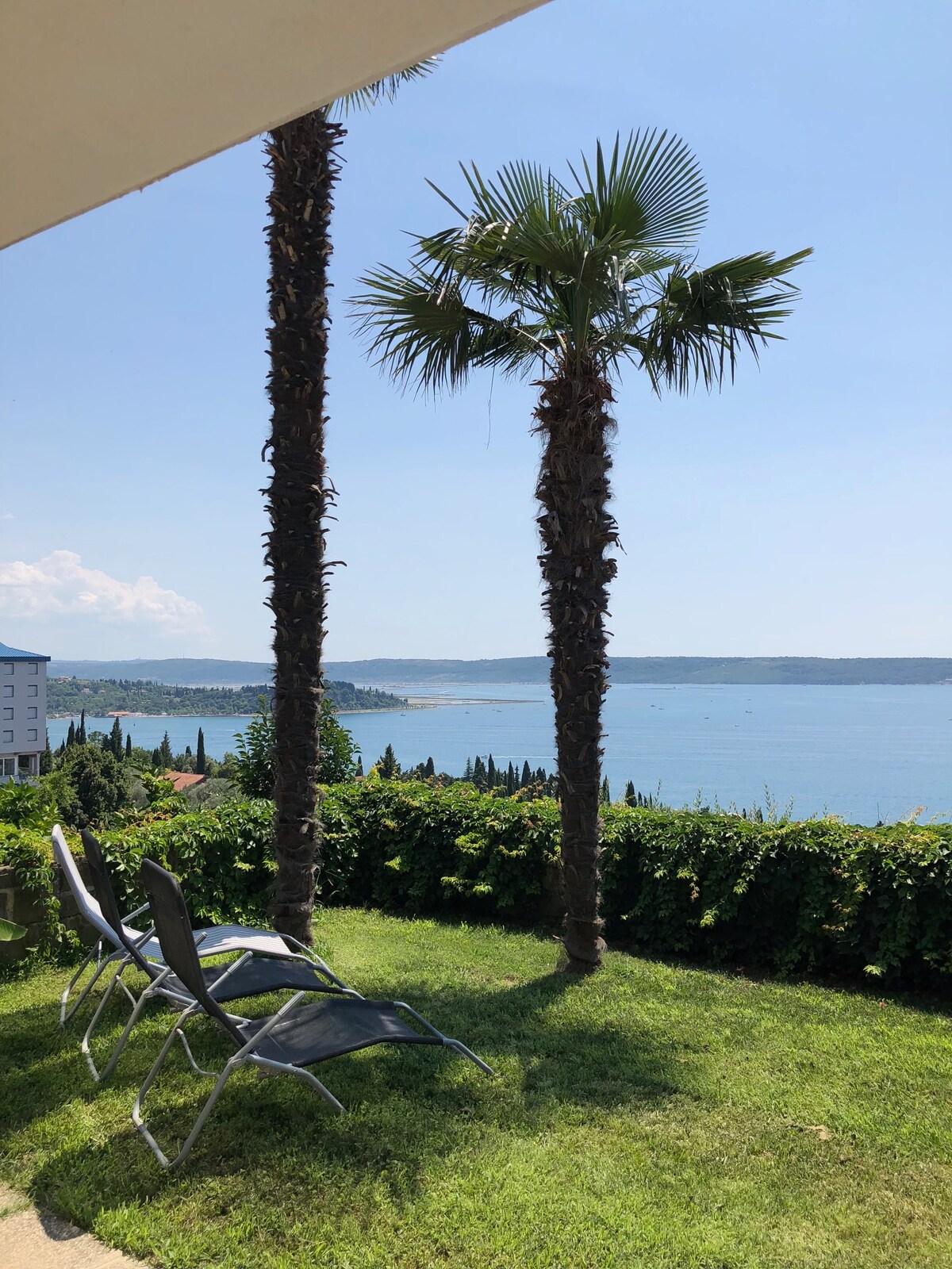 Two palm trees stand on a grassy area overlooking the sea. A pair of lounge chairs is positioned on the lawn, inviting relaxation. The tranquil blue water extends towards the horizon, framed by distant green hills and a clear sky.