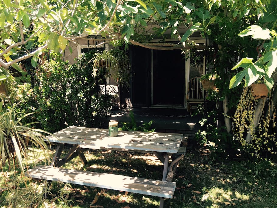 This is your super green indoor outdoor space.