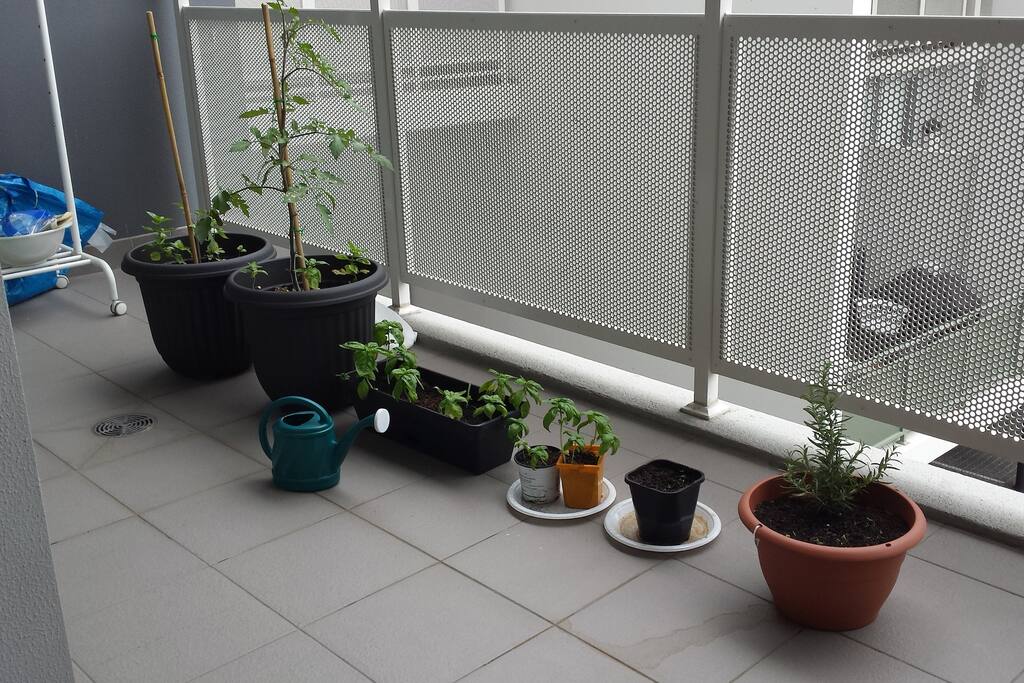 Balcony