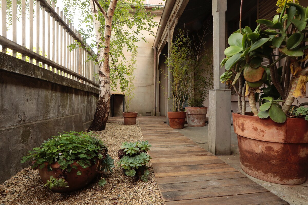 A pathway of wooden planks is flanked by potted plants and greenery, creating a welcoming entrance. The area features terracotta pots containing various plants, and a textured stone wall adds to the setting's natural ambiance.