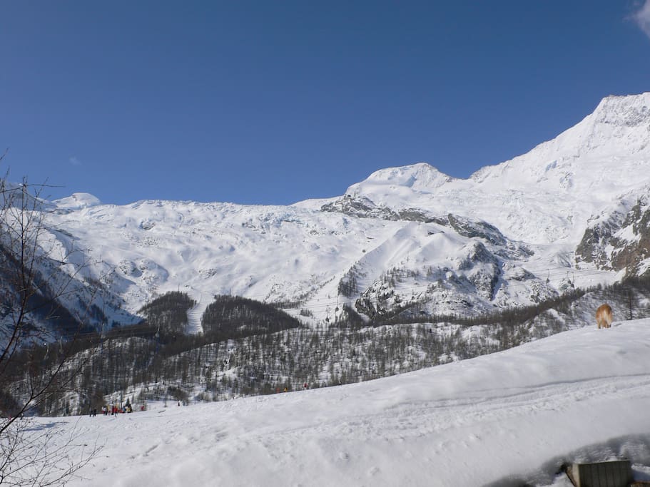 Skipiste "Stafelwald" in nächster Nähe