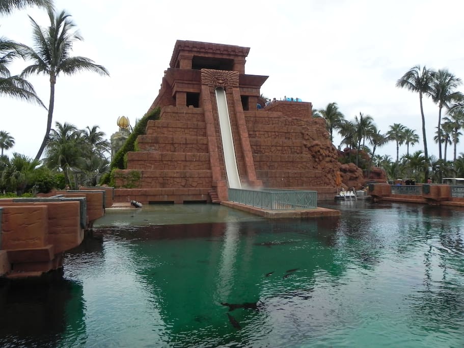 Water Slide