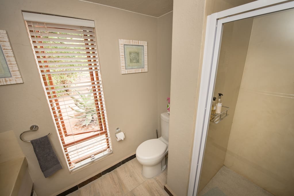 Ensuite bathroom with shower
