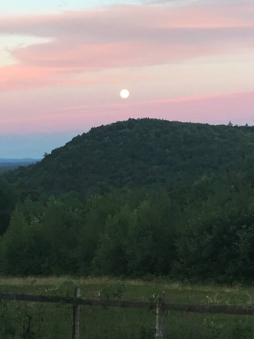 View from kitchen.