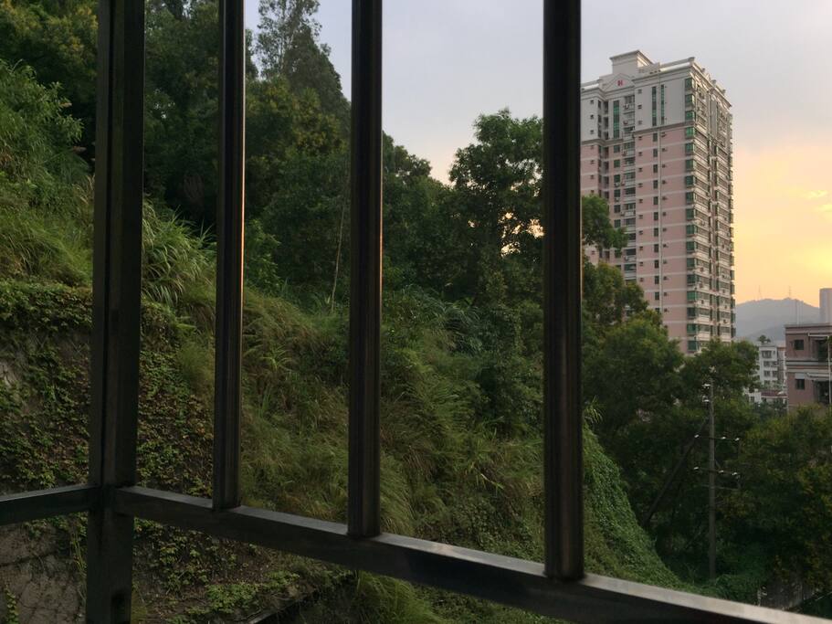 阳台一角