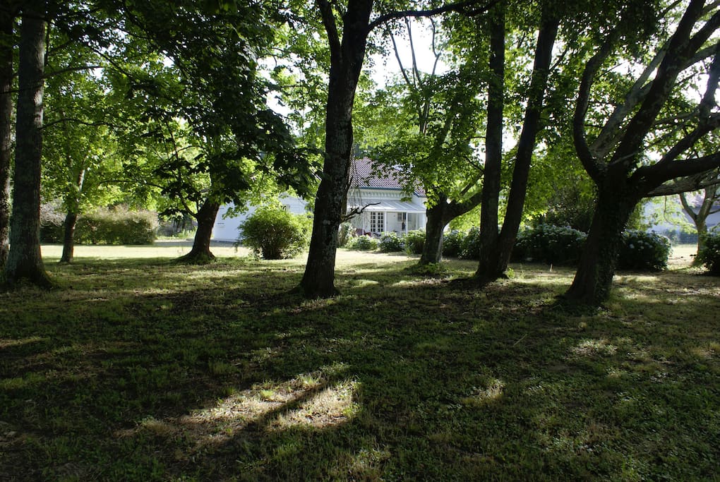 Jardin