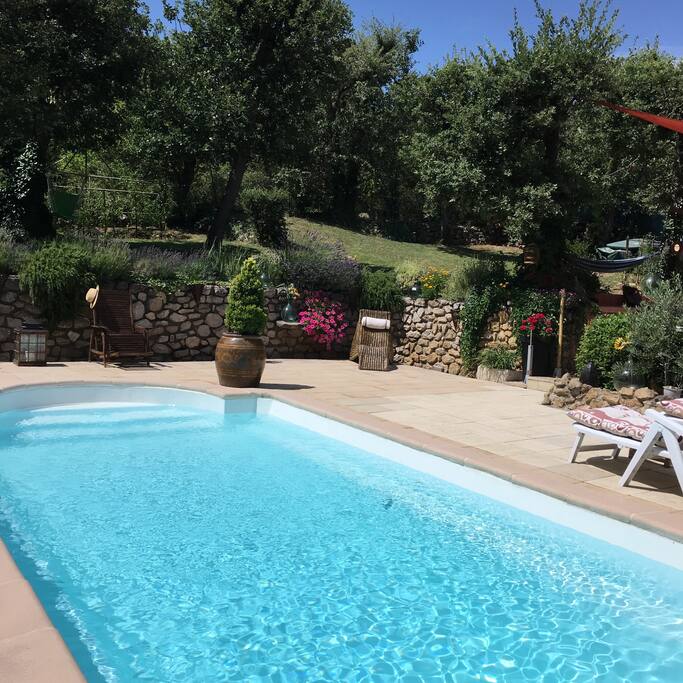 Piscine sans vis à vis 8mx4 avec nombreux transats et douche extérieur avec eau chaude très appréciée et très pratique
