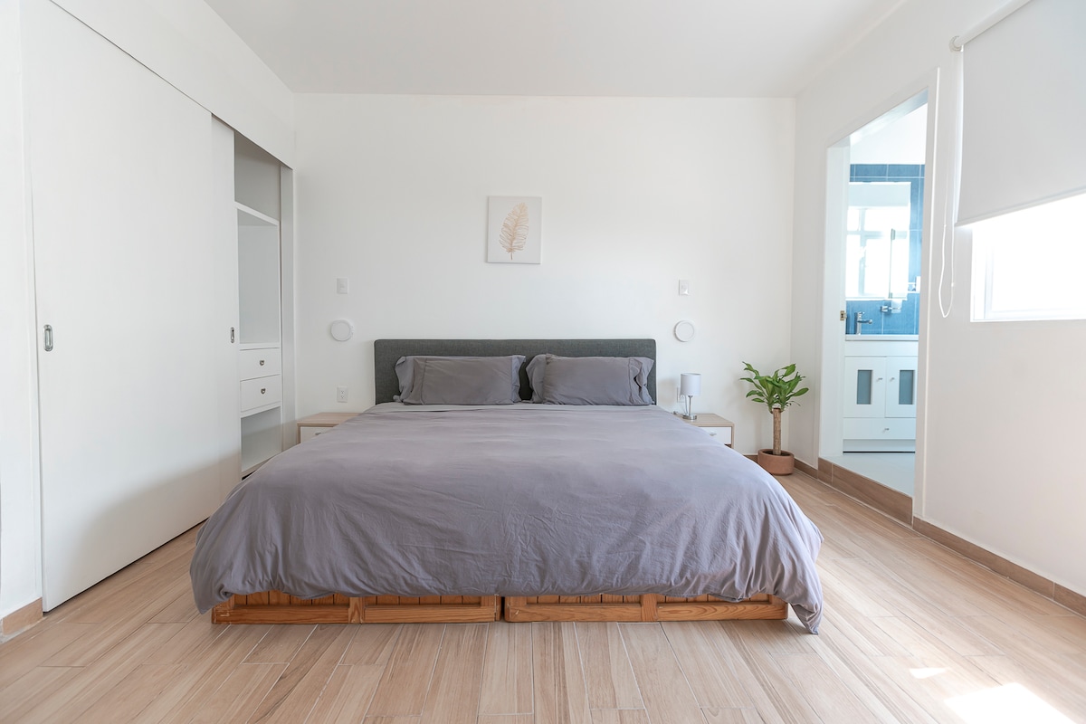 A spacious bedroom is presented, featuring a large bed with neutral-toned bedding. The light-colored walls create a bright environment, complemented by natural wood flooring. A small plant adds a touch of greenery, while closet spaces are visible, enhancing the room's functionality.
