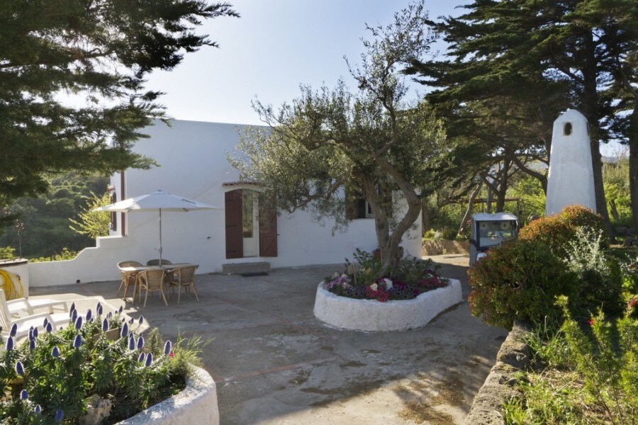 The exterior of the villa is highlighted by lush greenery and flowering plants surrounding a stone wall. A patio area features a shaded table with chairs and an umbrella, offering a pleasant outdoor space for relaxation. An olive tree adds a serene touch to the setting.