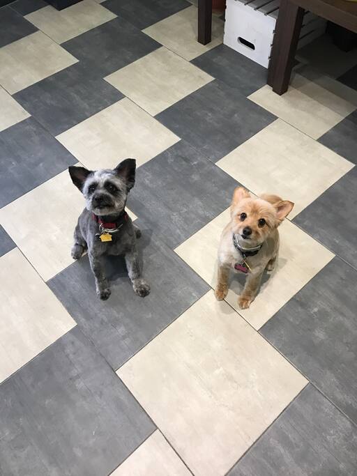 House protectors