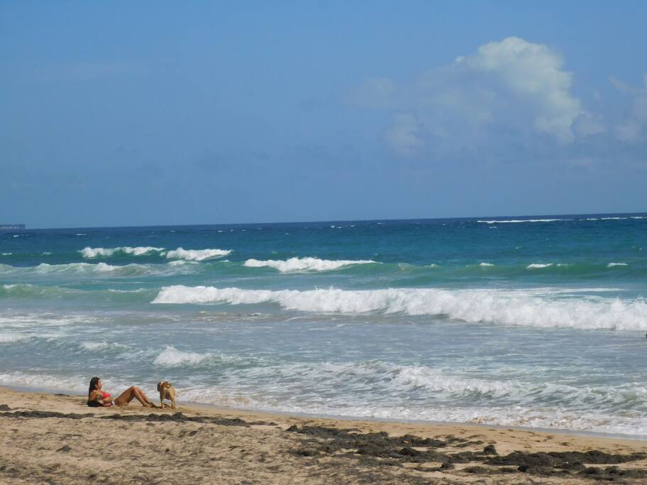 Beach area