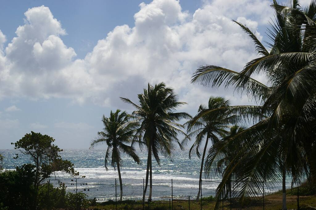 vue mer
