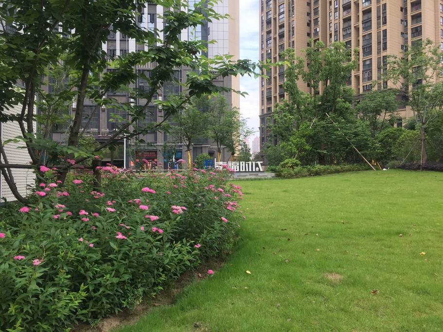 绿化的像花园