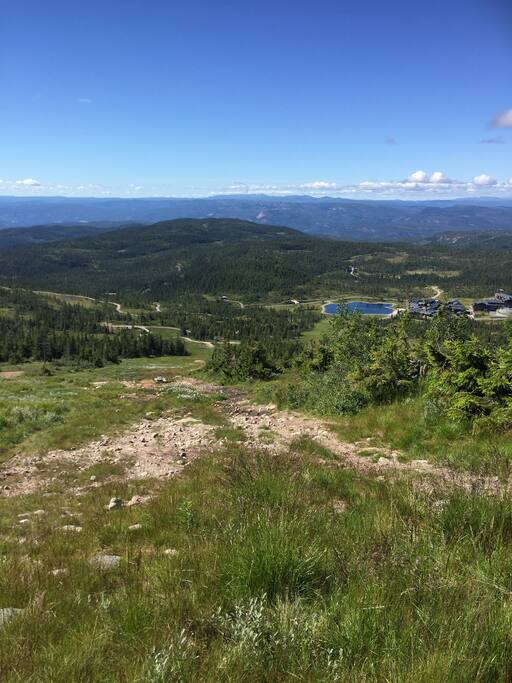 Tur/nærmiljø