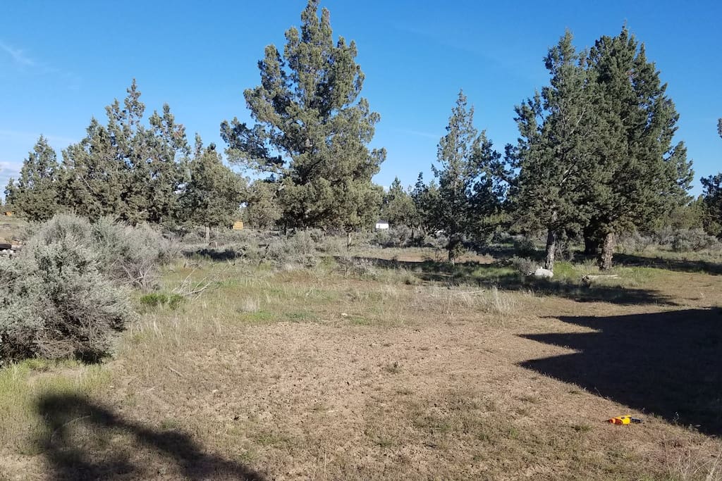 Camp site area 2