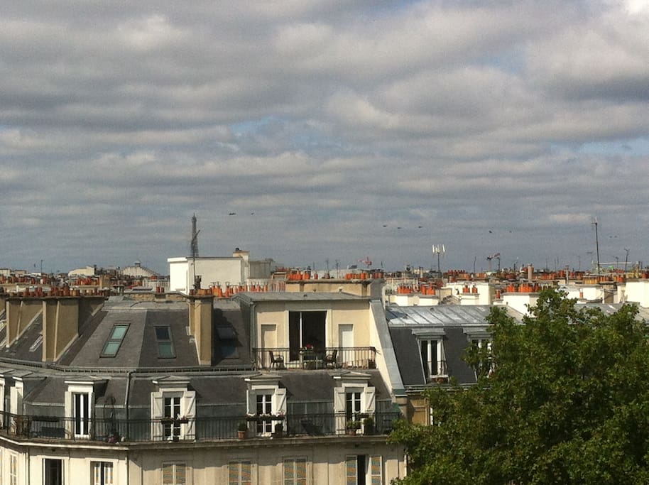 La vue sur les toits de Paris