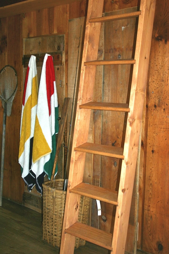 Shkallë në papafingo