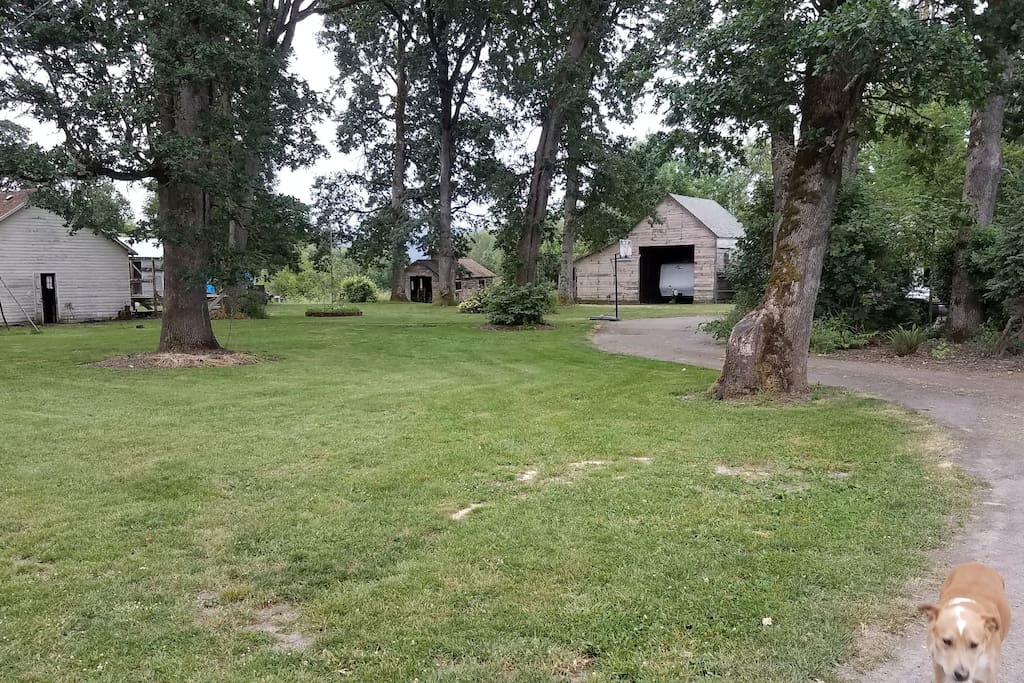 Partial view of tent area.