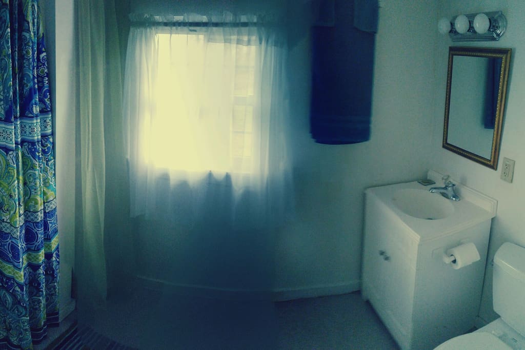 private bathroom and standing shower