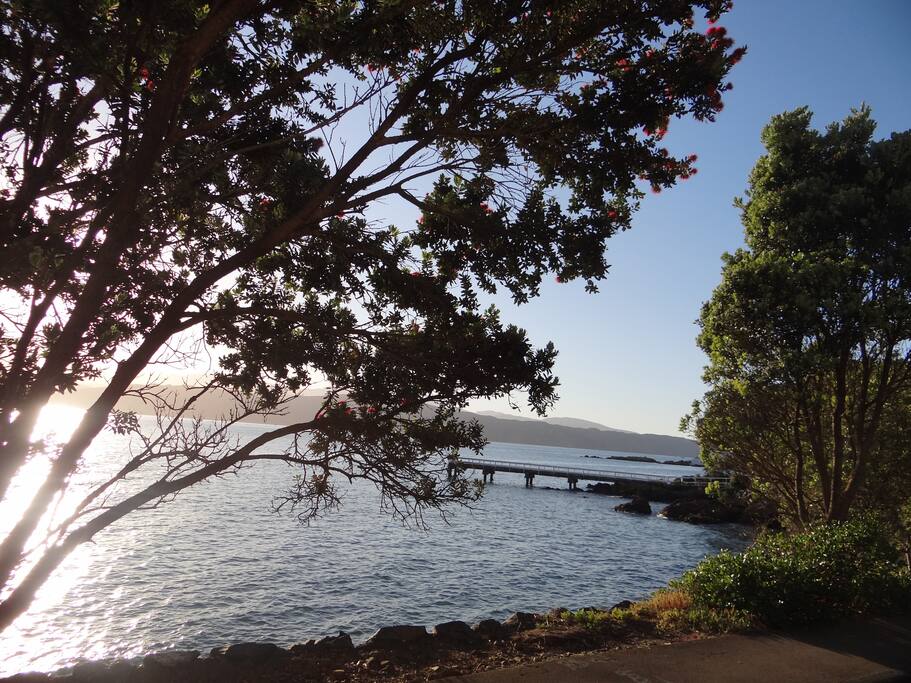 Your view. Karaka Bay.