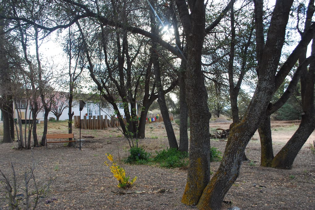 Oak Grove