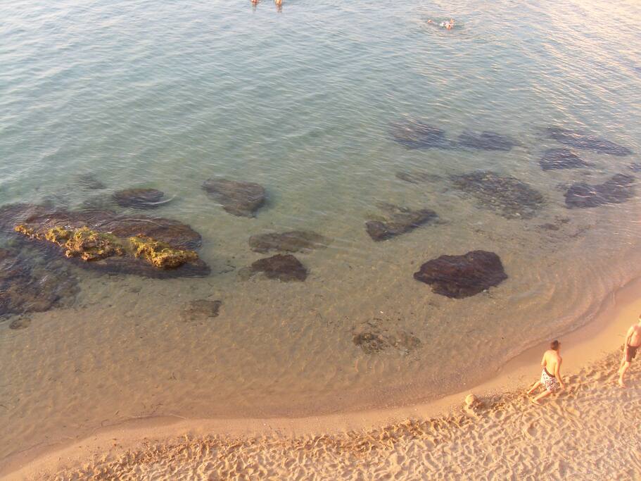 mare