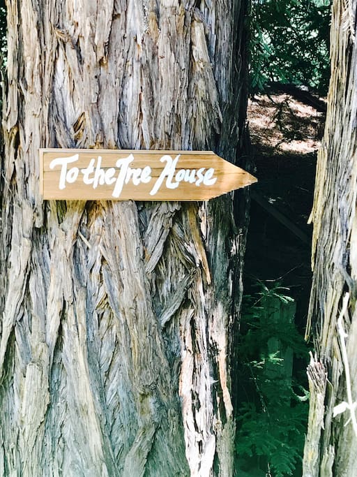 Stairs to your tree house!