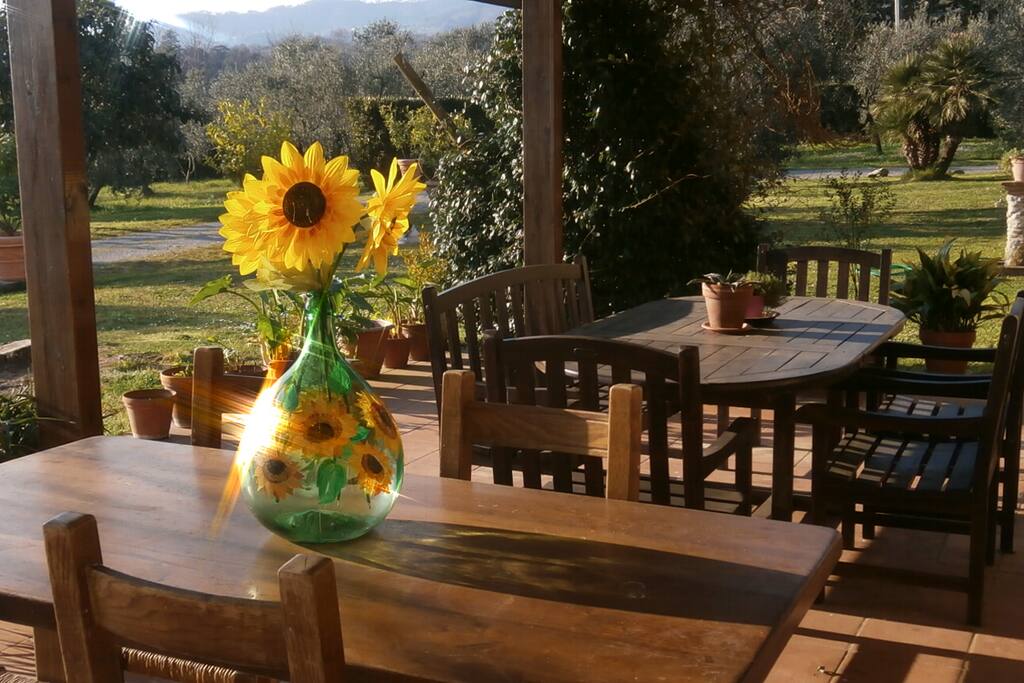 The terrace