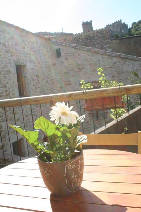 Terrasse avec vue sur la château.