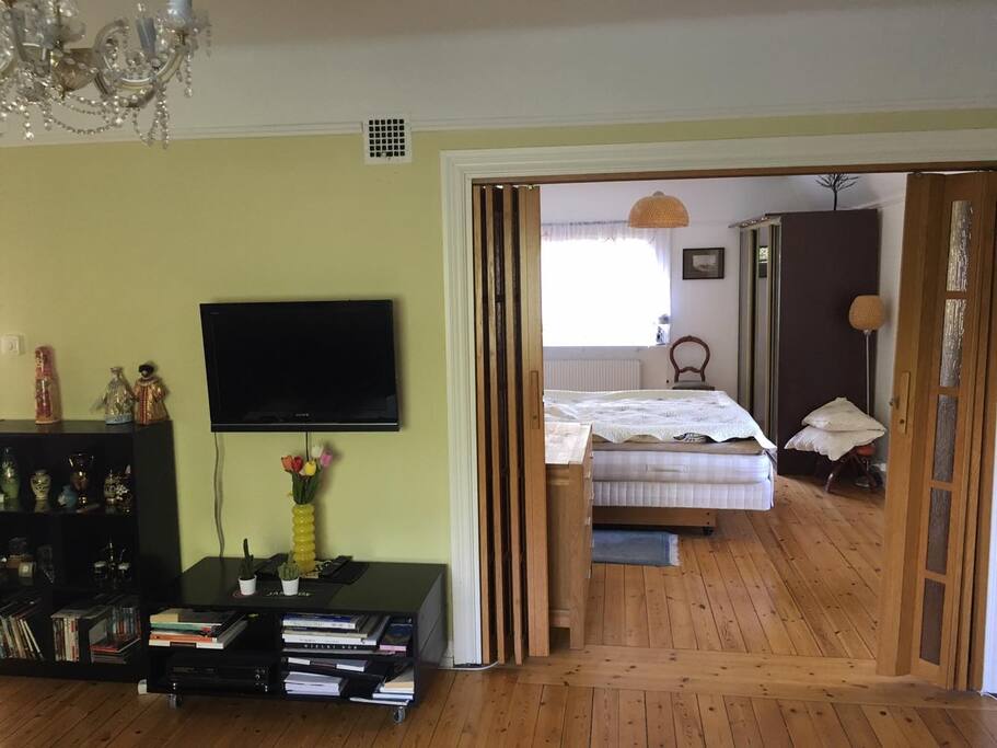 Living room + bedroom