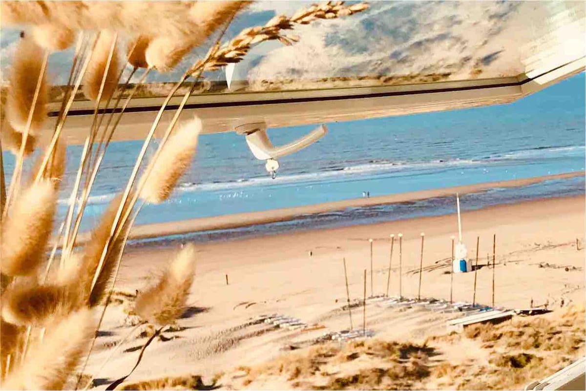 A view from the studio highlights the sandy beach and calm sea. The image captures gentle waves lapping at the shore, with beach structures visible in the distance. Grass-like plants frame the foreground, adding a natural element to the coastal scenery.