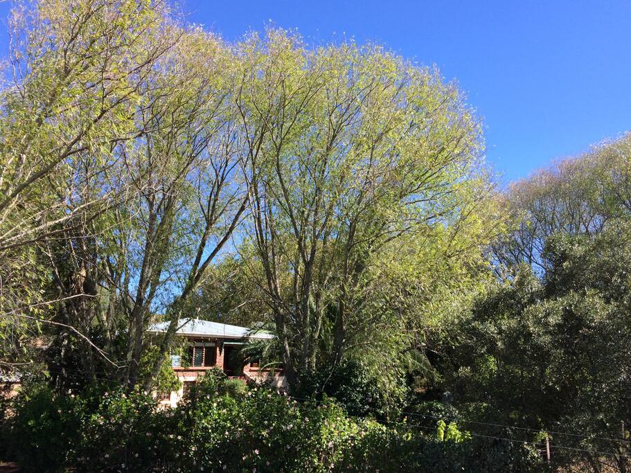 Retreat guest house is surrounded by trees and apple orchards.