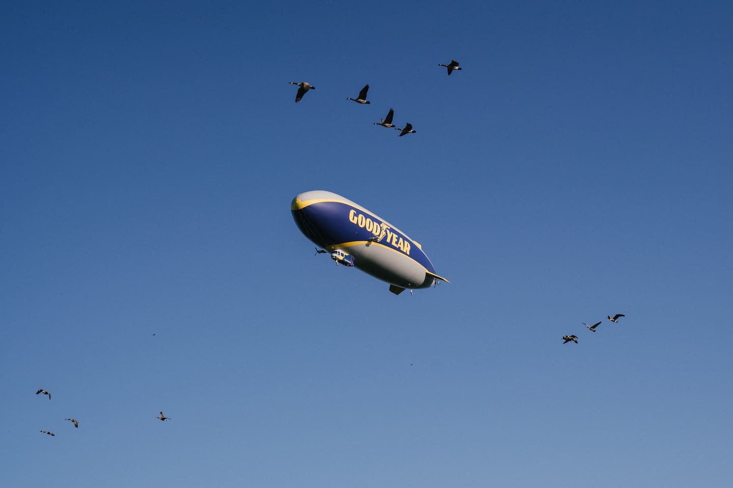 A Touchdown Stay in the Goodyear Blimp