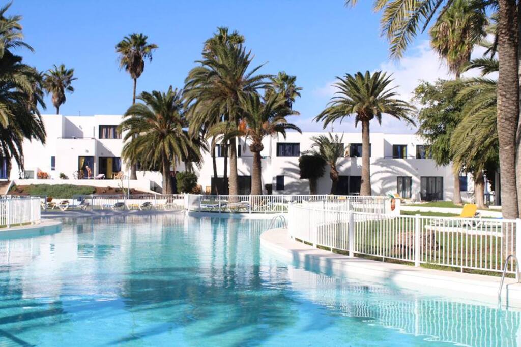 Super Sized Swimming pool