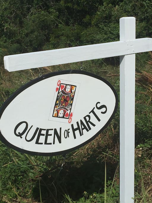 Welcome to the Queen Of Harts!