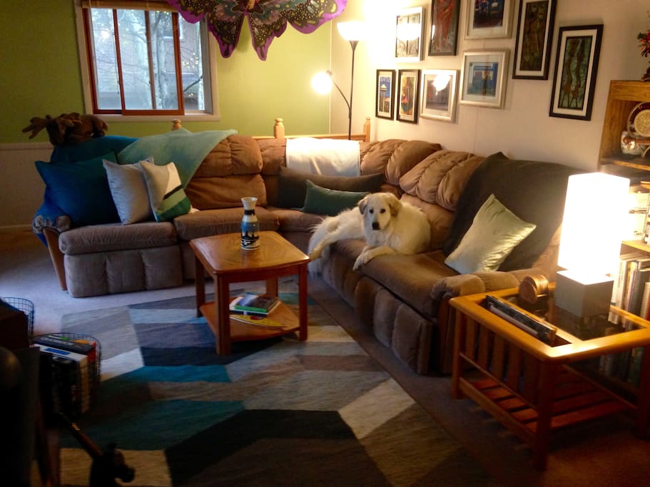 Living room upstairs with Lola on the couch!