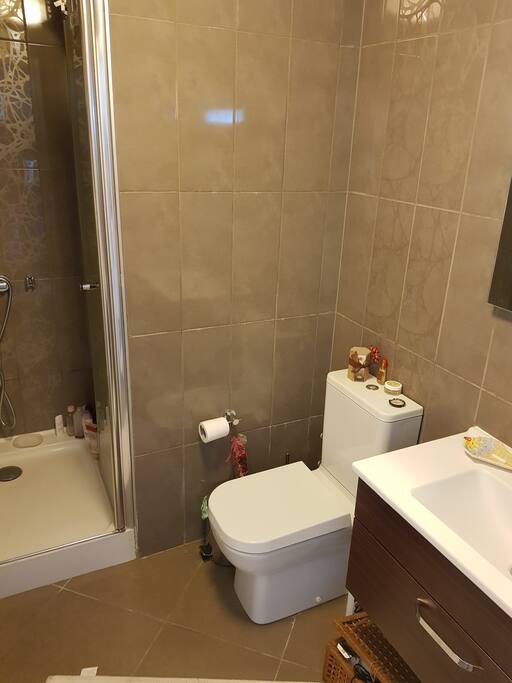The bathroom