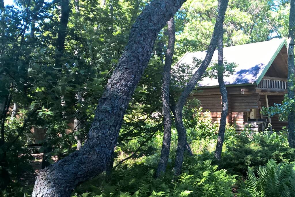 Guest house